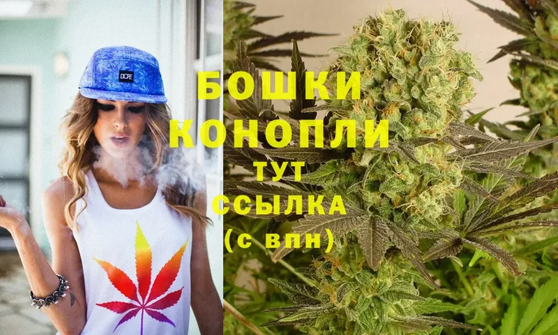 МАРИХУАНА THC 21%  блэк спрут ССЫЛКА  Боготол  как найти наркотики 